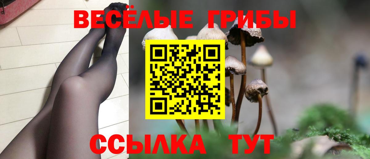 Галлюциногенные грибы Cubensis Малоярославец